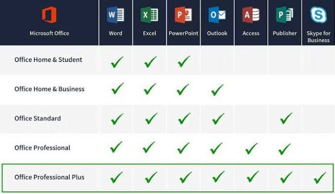 office 365 professional plus features